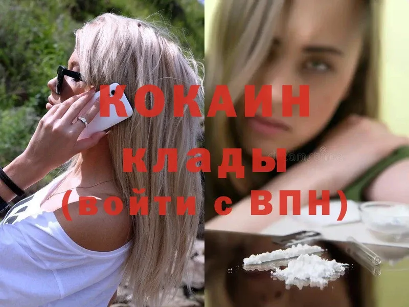 Cocaine FishScale  сколько стоит  Мураши 