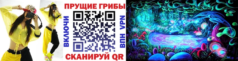 Псилоцибиновые грибы мицелий  купить наркотик  Мураши 